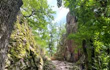 the famous wine road of alsace by foot
